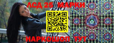 стаф Кимры