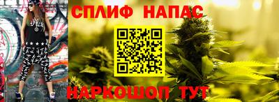 стаф Кимры