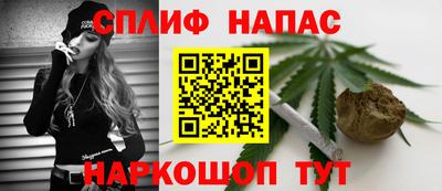 дурь Кингисепп