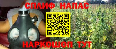 дурь Кингисепп