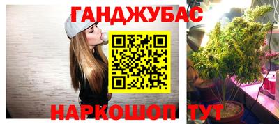 стаф Кимры