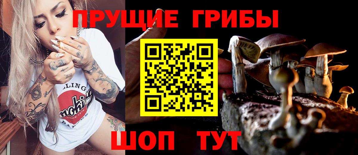 Псилоцибиновые грибы Psilocybine cubensis Губкин