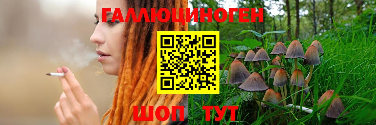 Губкин  Псилоцибиновые грибы GOLDEN TEACHER  Вход с VPN 